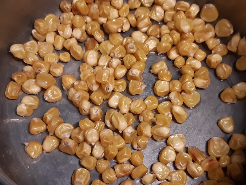 Kokt torr sockermajs